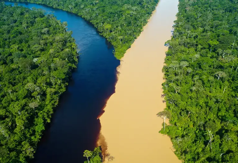State of Amazonas 4 State of Amazonas, Brazil