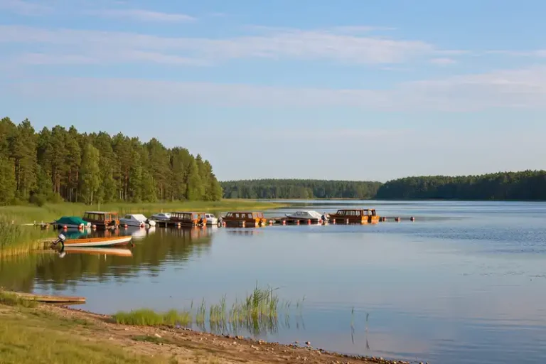 Augustów 4 Augustów lakeside with boats and forest