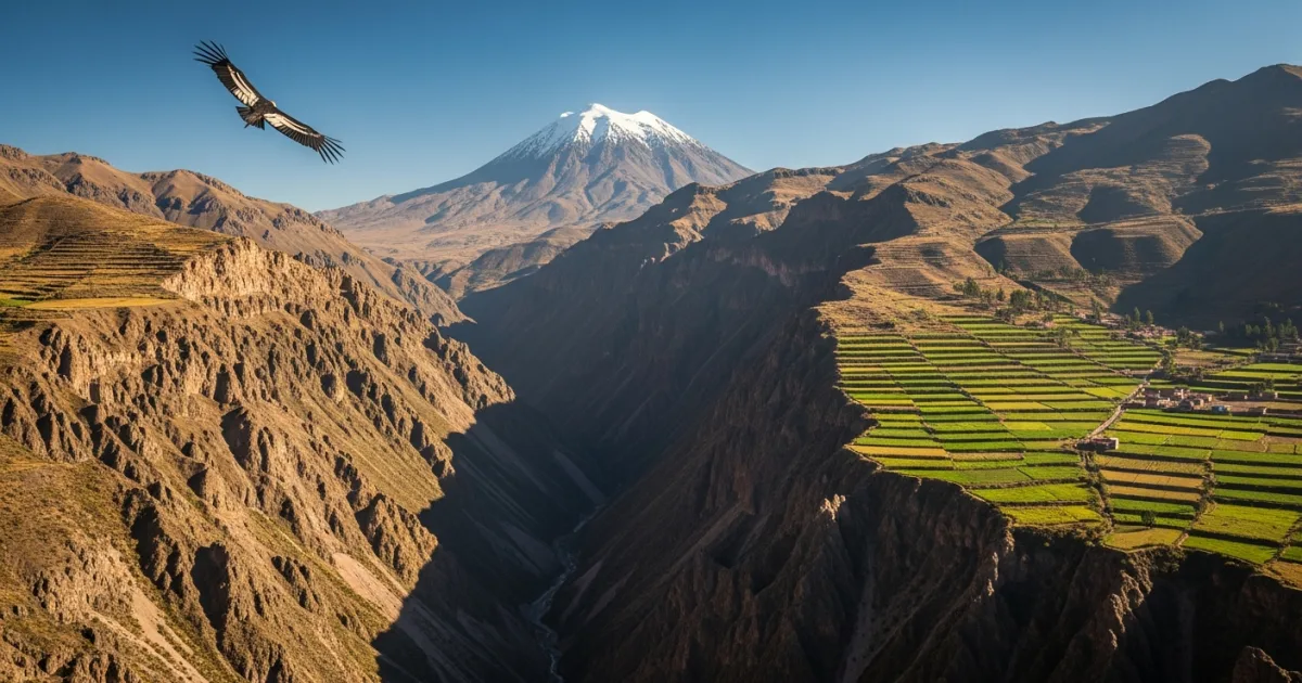 Panoramic view of Colca Canyon and Misti Volcano in the Arequipa Region of Peru
