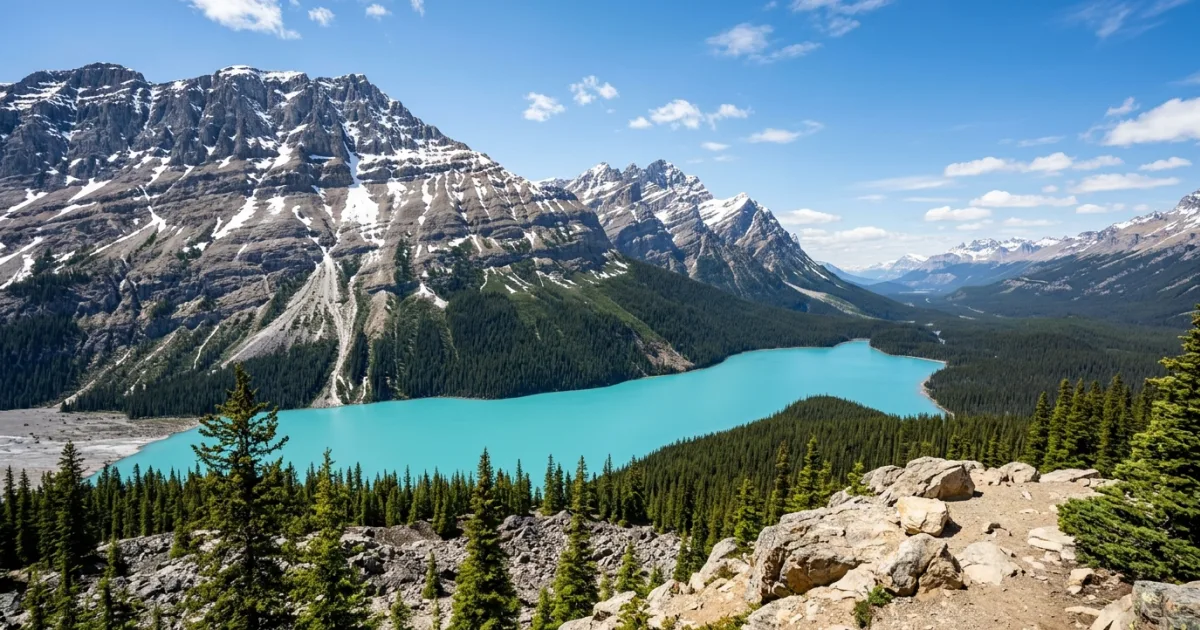 Panoramic view of turquoise Peyto Lake from Bow Summit in Banff National Park